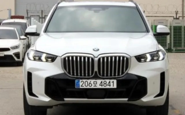 인천중고차거래 X5 (G05) xDrive 30d M 스포츠 매물 사진 16 - 2024/04 56,166km